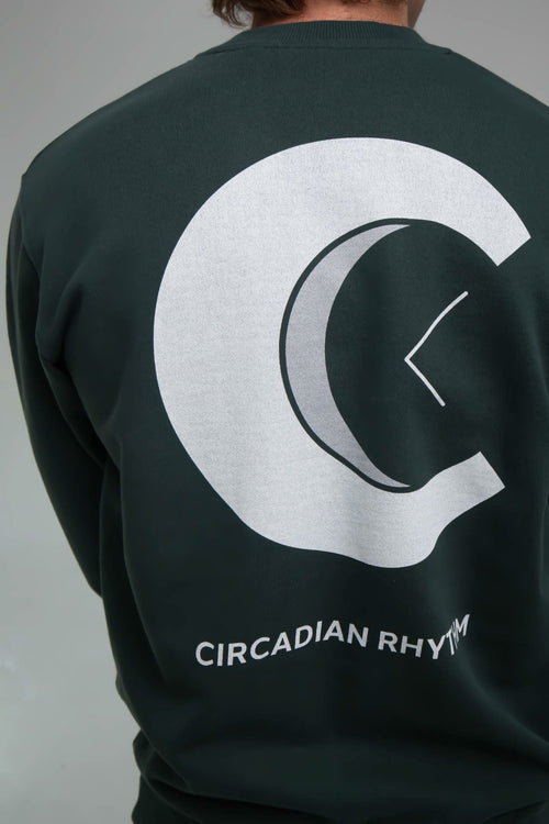 CR Logo Green Sweater Back Zoom