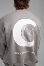 CR Logo Grey Sweater Back Zoom